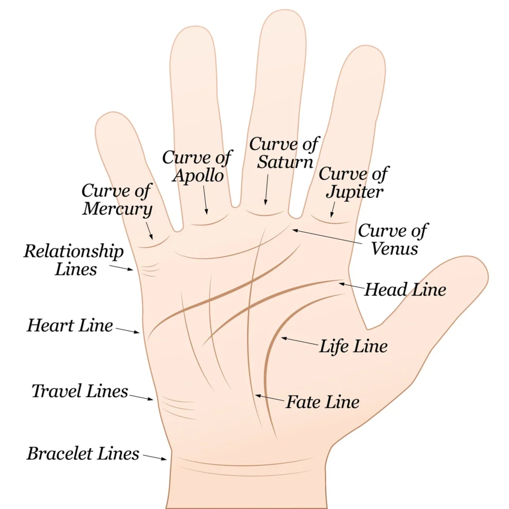 meaning of lines in palm reading