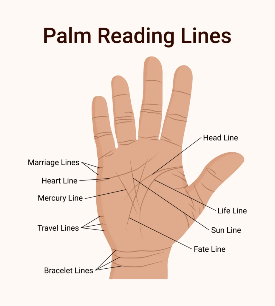 palm readng lines