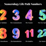 numerology-life-path-numbers