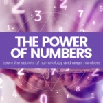 the power of number